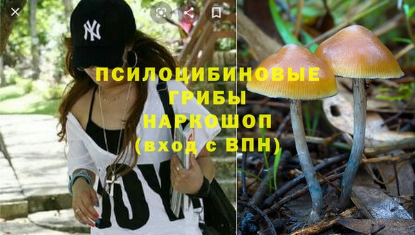 Альфа ПВП Армянск