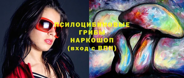 Альфа ПВП Армянск