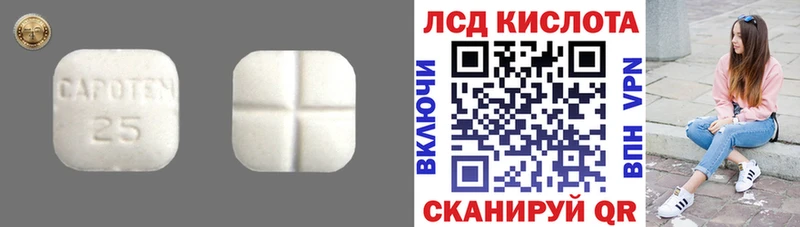 ЛСД экстази ecstasy  мориарти какой сайт  ОМГ ОМГ ССЫЛКА  Билибино  купить  цена 